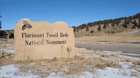 Moving image of the Florissant Fossil Beds entrance sign that shows the paleovespa wasp. The image then shows the front of the modern Visitor Center building and American flag waving in the breeze.