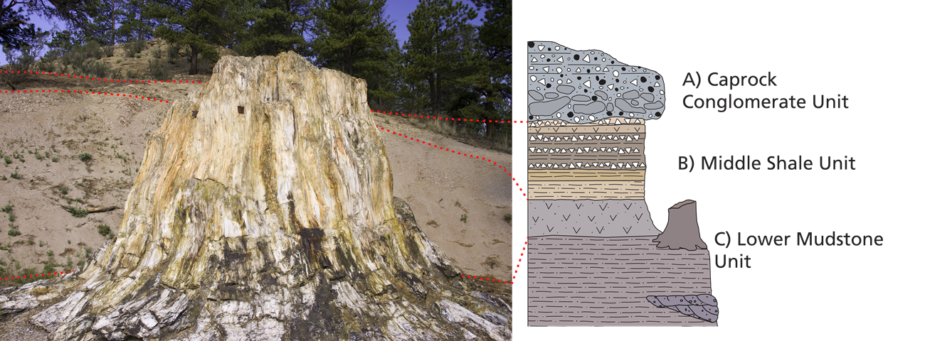 On the left is an image of a petrified redwood stump in front of a hill exposing layers of rock. Red dashed lines cross the image through the rock units. On the right is a stratigraphic column with the rock units drawn out schematically.
