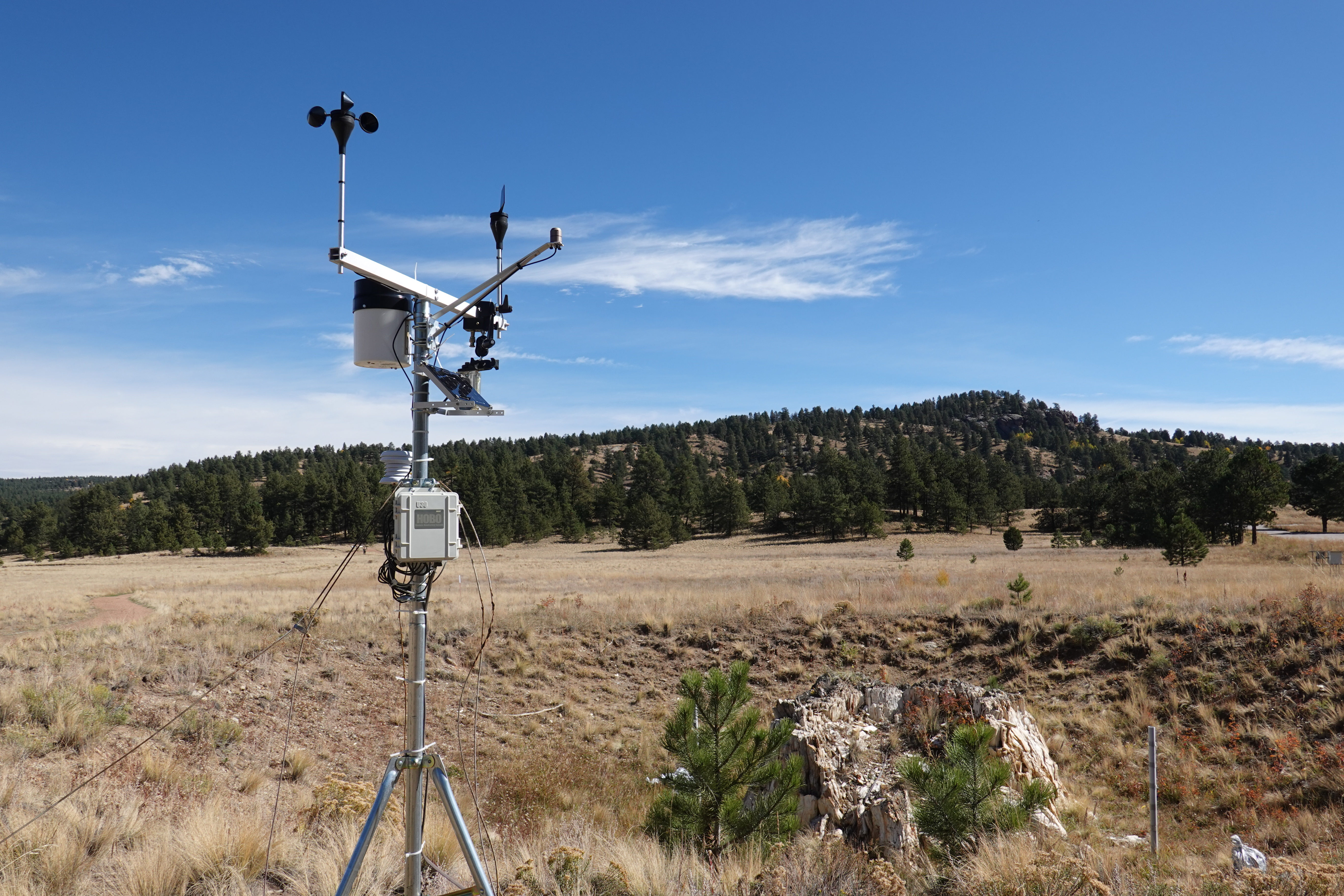 A tripod with various mechanical equipment in the foreground, behind is a petrified redwood stump set into a grassy depression in the ground.
