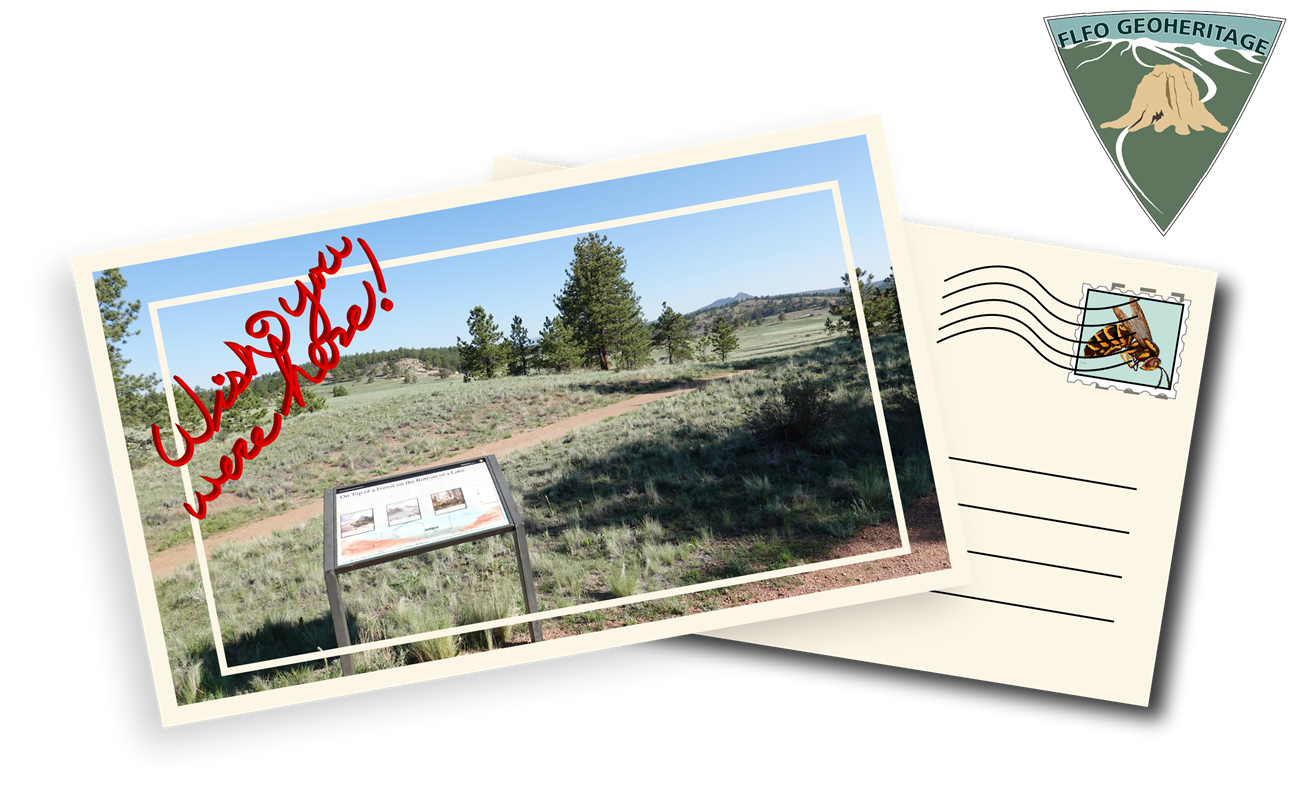 Two postcards overlapped, the left with a picture of a wayside and a view of the Florissant valley. The left postcard shows lines and a stamp with a wasp on it.