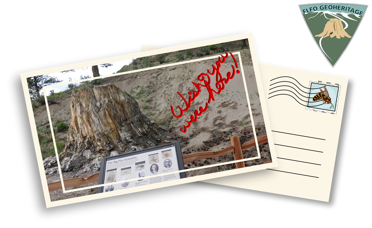 A post card with the image of a wayside and its surroundings that says "wish you were here" in red.