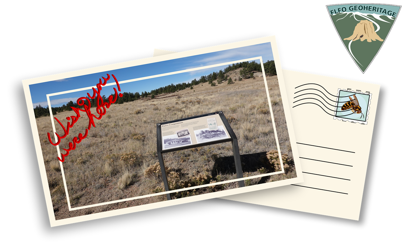 Post_FierceCompetion_101521