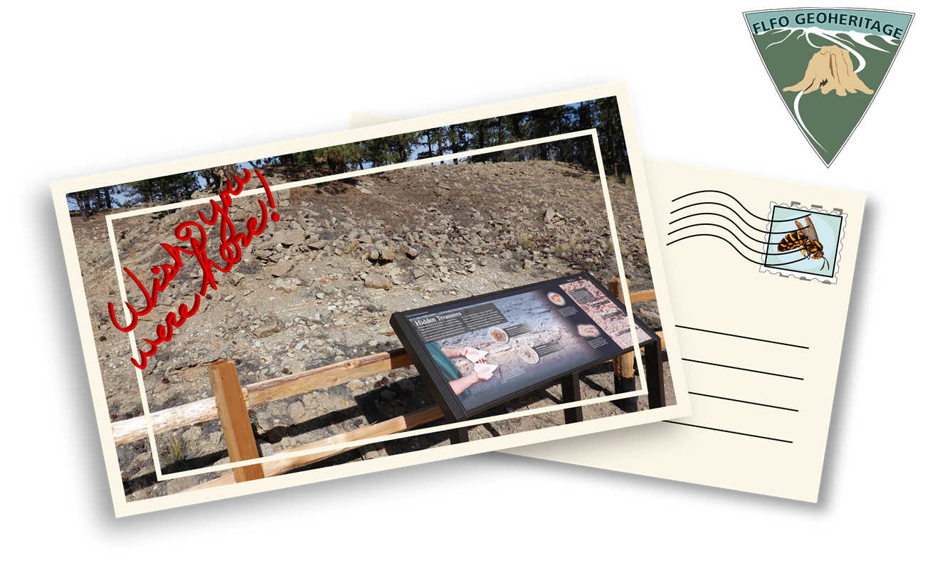 Postcard showing physical location of wayside in front of a hill of exposed shale.