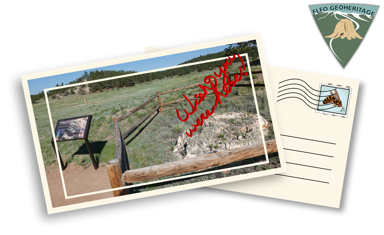 An illustration of a postcard with a petrified stump on the right and a wayside on the left. The words "wish you were here" are in red on the right side.