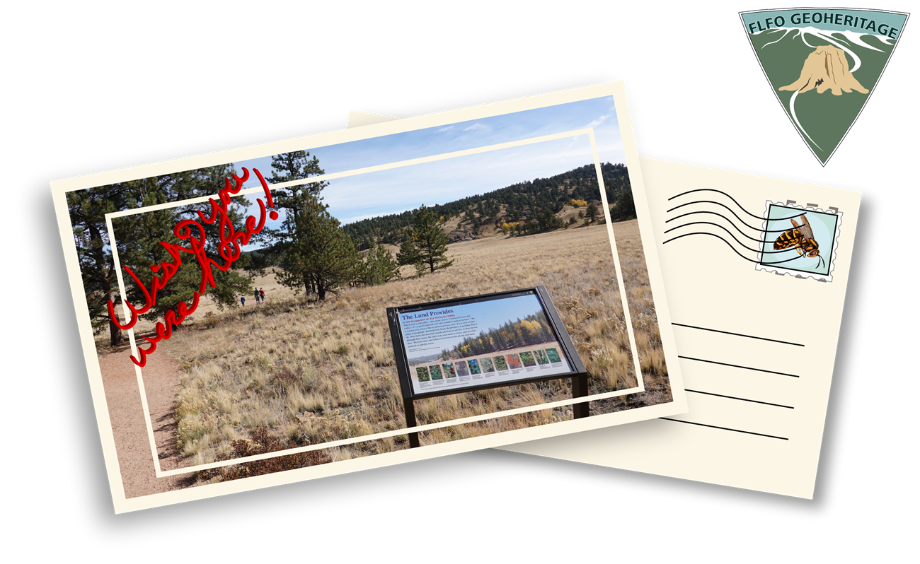 A illustration of a post card showing wayside in the lower left, overlooking a valley scene with grass and trees. The words "wish you were here" are written in the upper left corner in red.