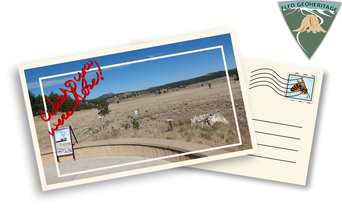 Illustration of a postcard with a photo of a petrified stump on the right and a sign on the left, the words "wish you were here" are written in red in the upper left corner.