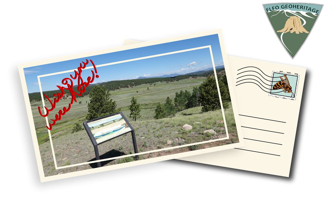 Two overlapped postcards, the left has an image of the wayside overlooking the valley, the right postcard shows a stamp with a wasp on it.