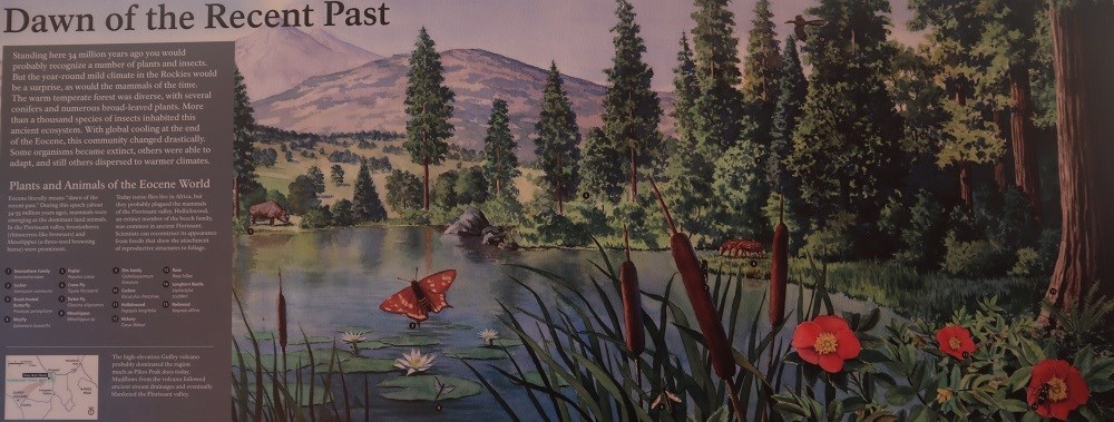 View of life 34 million years ago