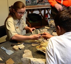 Volunteer splitting shale for visitors in Fossil Learning Lab