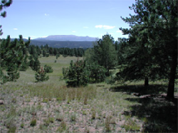View of Pikes Peak from Sawmill Trail