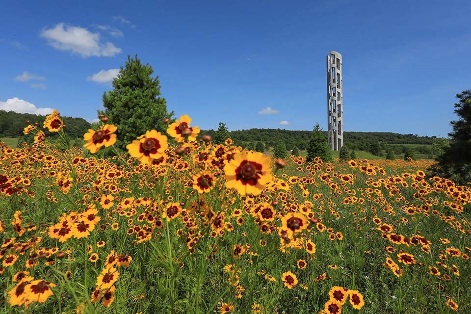 The Tower of Voices stands over a meadow of wildflowers.