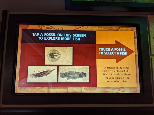 Images of fossils to select onscreen: stingray, gar, and amia. An arrow pointing right says Touch a fossil to select a fish. Below it says Learn about the fishes that lived in Fossil Lake. Watch in the lake above for your selected fish to swim into view.