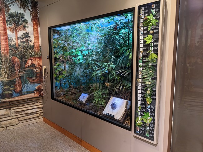 Diorama of a lush forest with 2 fossils at the front, a mural to the left, and examples of leaves and bugs on the right.