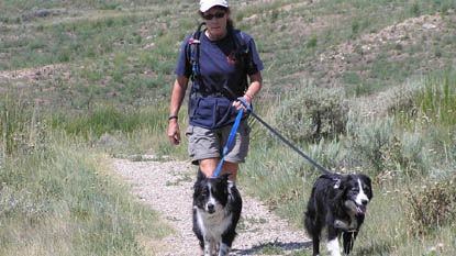 A person walking two dogs on leashes along a trail.