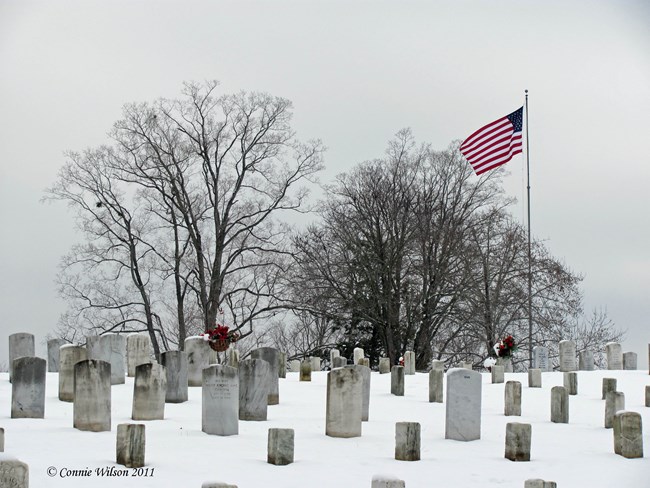 The National Cemetery, January 27, 2011