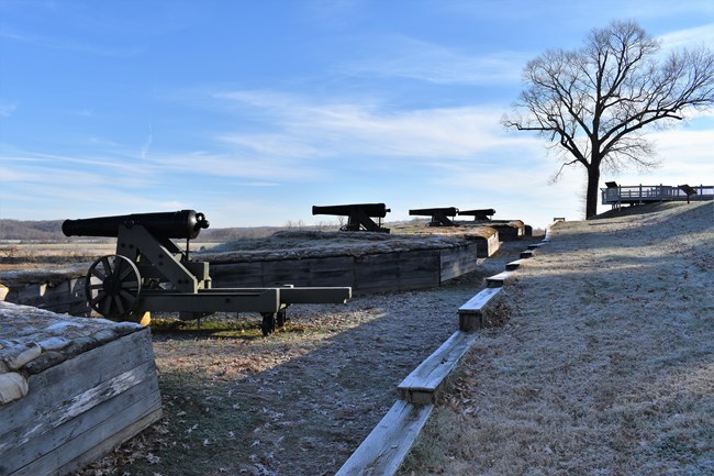 Cannons at Fort Donelson