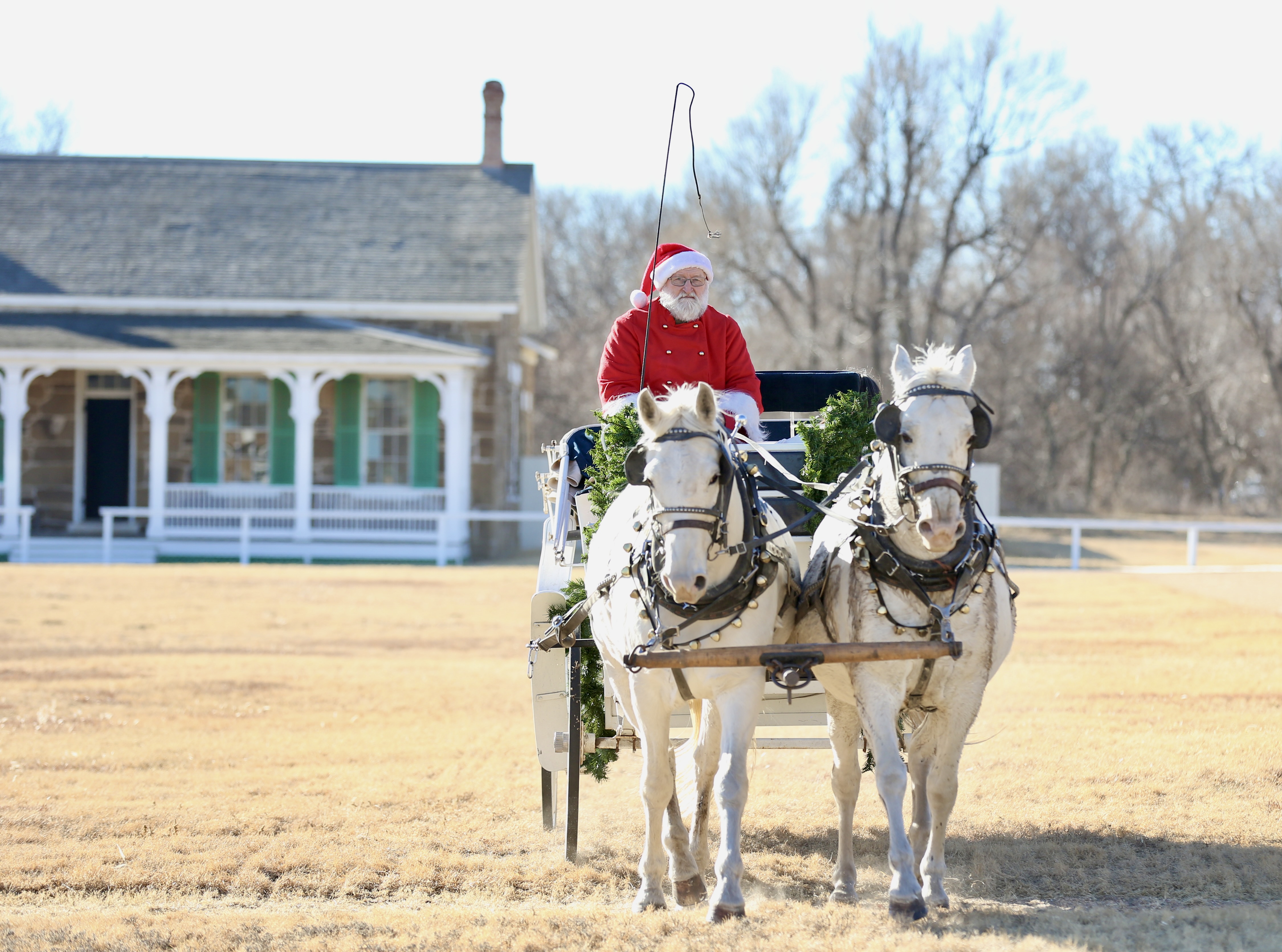Man dressed as Santa in horse drawn carriage approaches the camera.