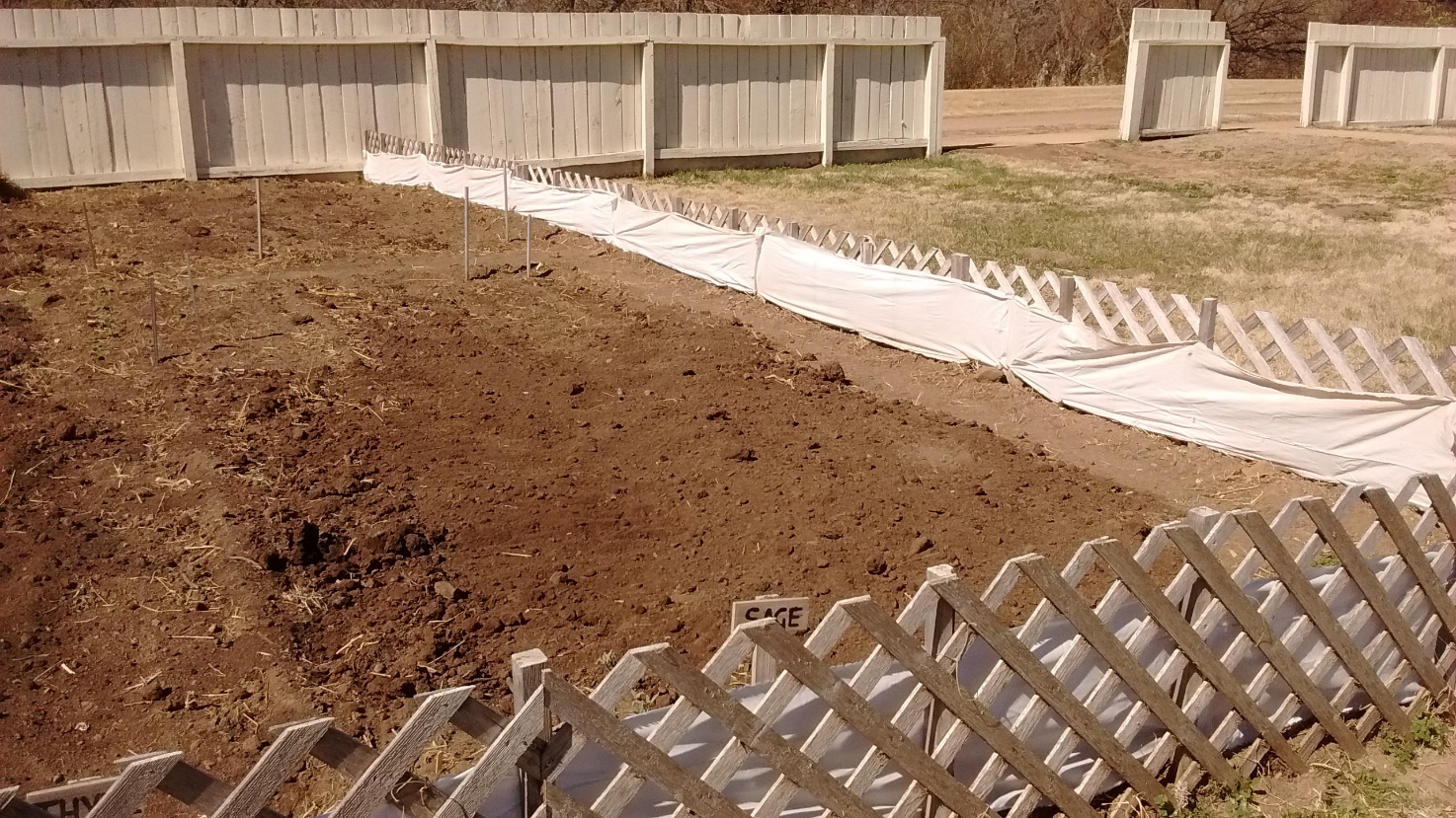 Image of just planted garden.