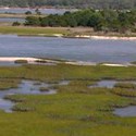 In the number of animal species, the estuary and salt marsh is the most diverse habitat in the park.