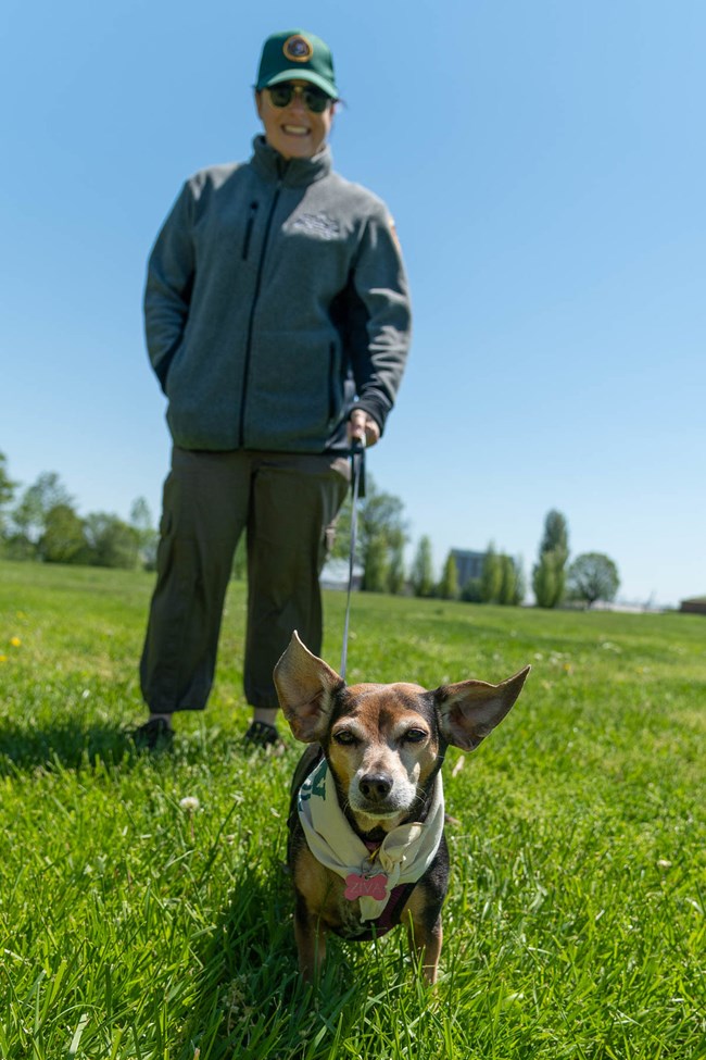 Paw Patrol volunteer with dog