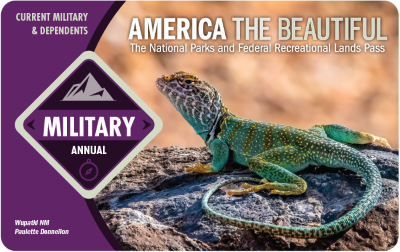 Military Annual pass front