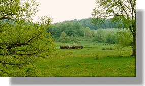 Reconstruction of Fort Necessity in the Great Meadow