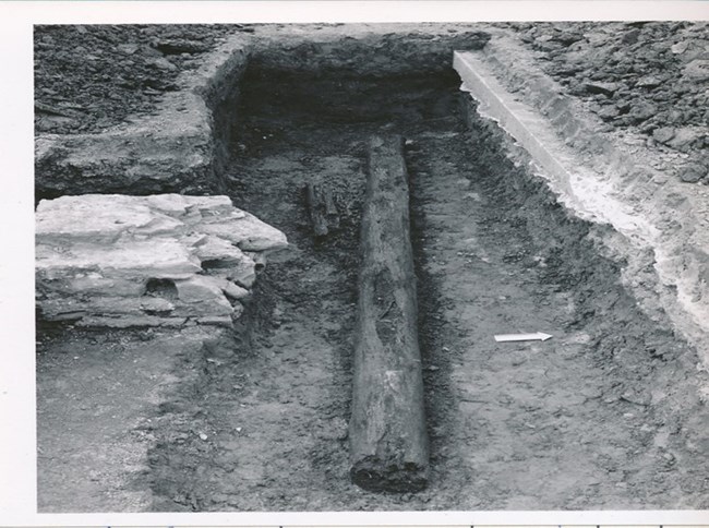 A photograph of a log in an archaeological trench.