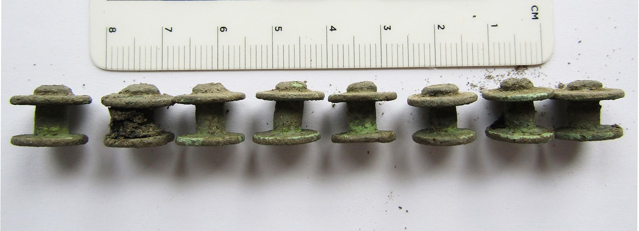 Eight spool-shaped rivets that are one centimeter tall and wide.