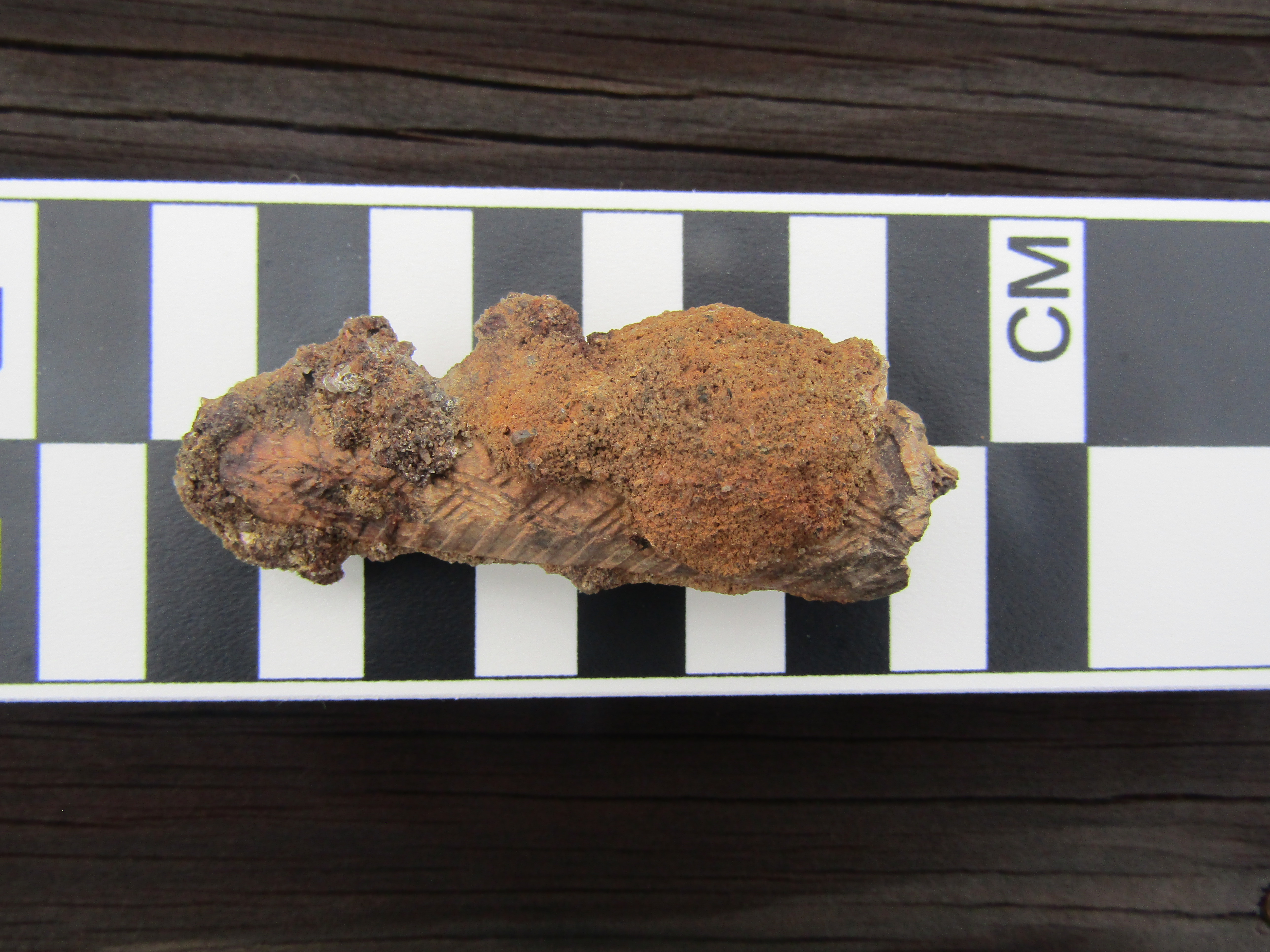 carved bone sandwiches heavily rusted iron from a utensil