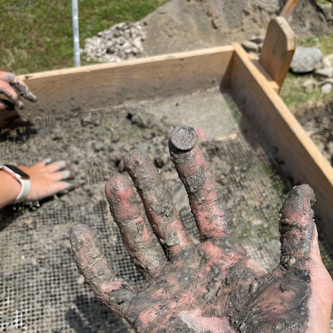 An archeologists' muddy hands, and a bone button stuck on the end of her finger.