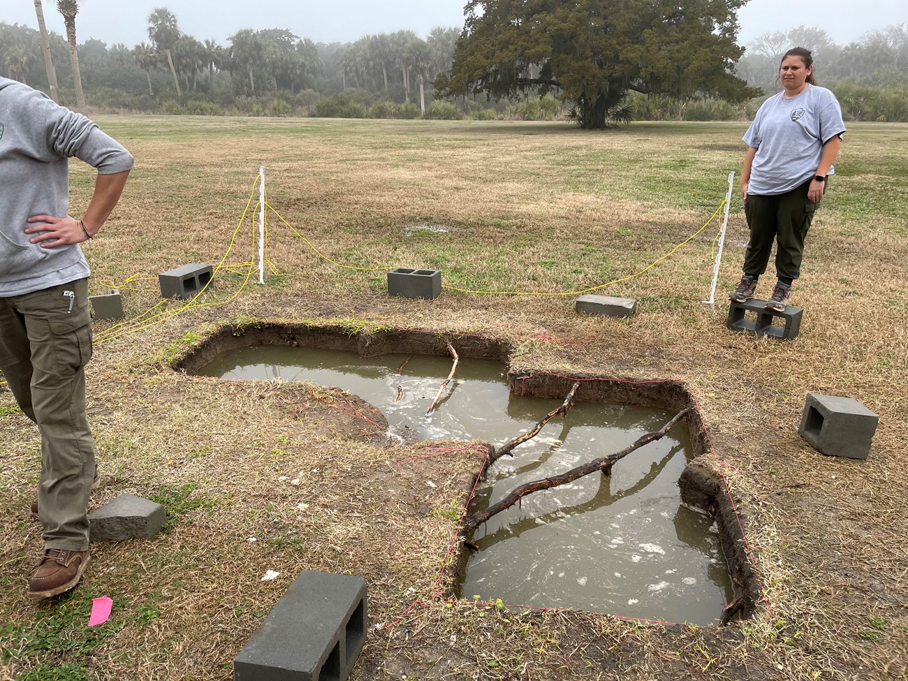 Rectangular archeological holes filled with groundwater. An archaeologist looks on with a disgusted face.