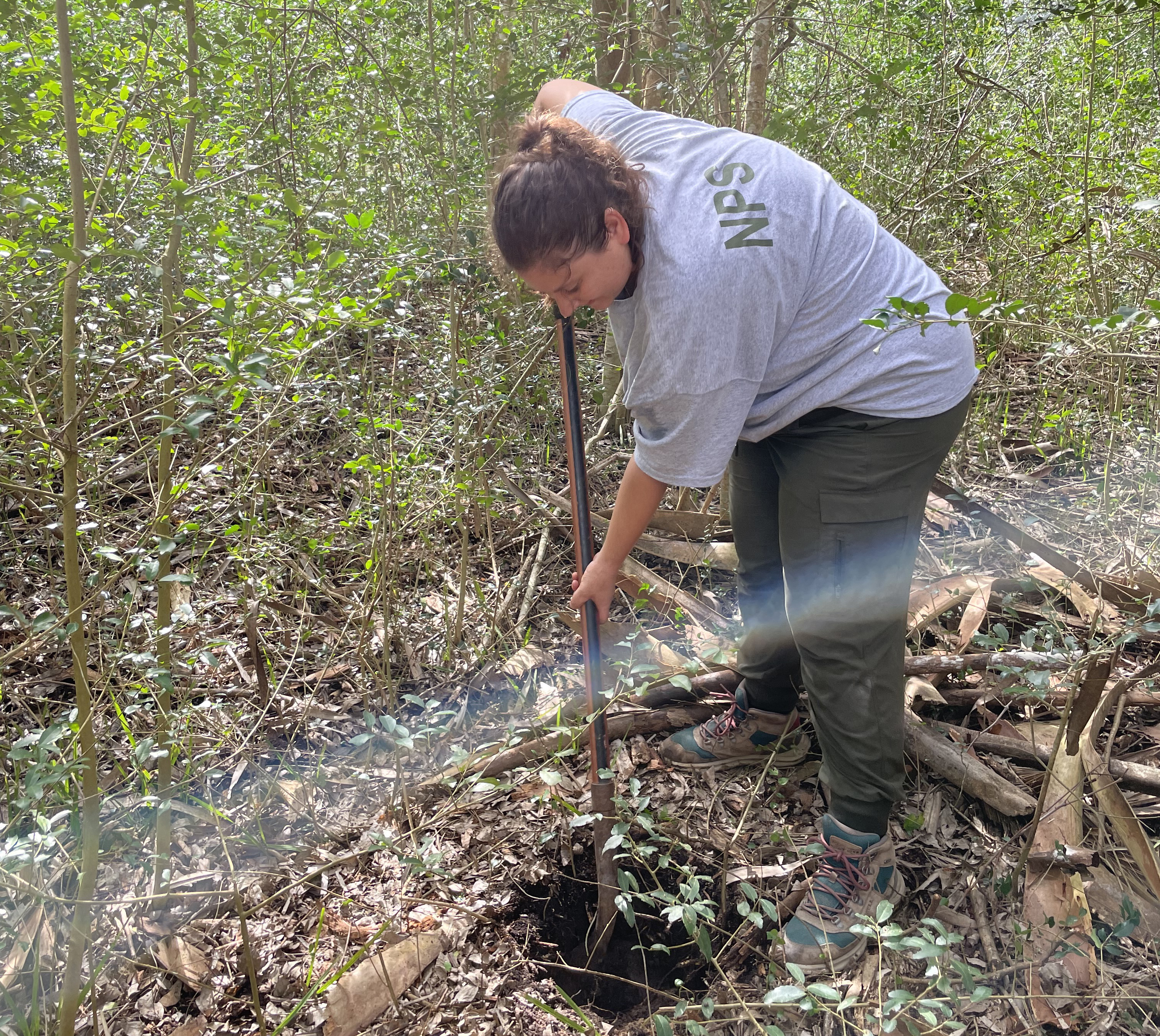 An archeologist digs a small hole in the forest.