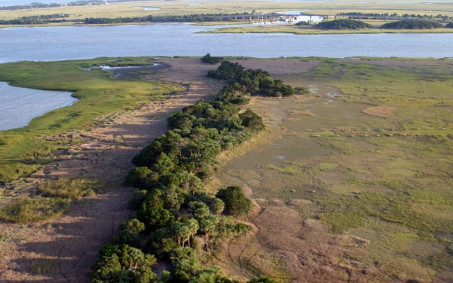 An arial image of a salt marsh and narrow line of forest.