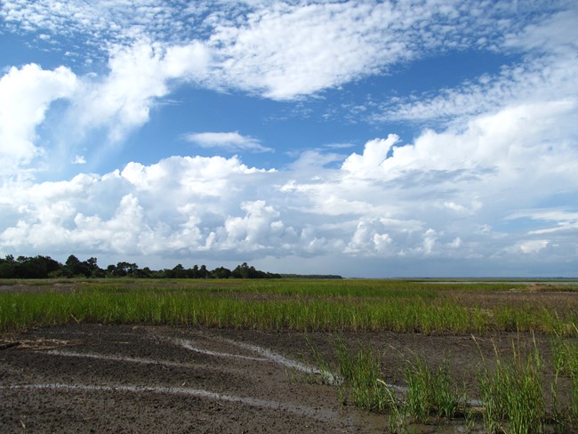 Brown, mucky mudflats bake under the Georgia sun amid green marsh grasses on a sunny day with clouds