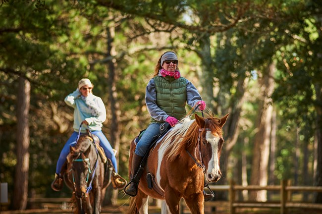 Two people riding horseback up tree covered path.