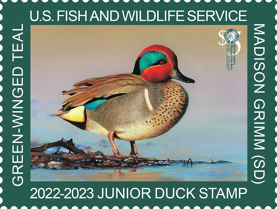 2023 jr duck stamp Fort Scott National Historic Site (U.S. National