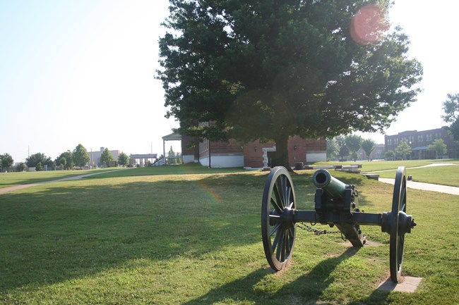 a civil war replica cannon sits on a green field with a large tree in the background.