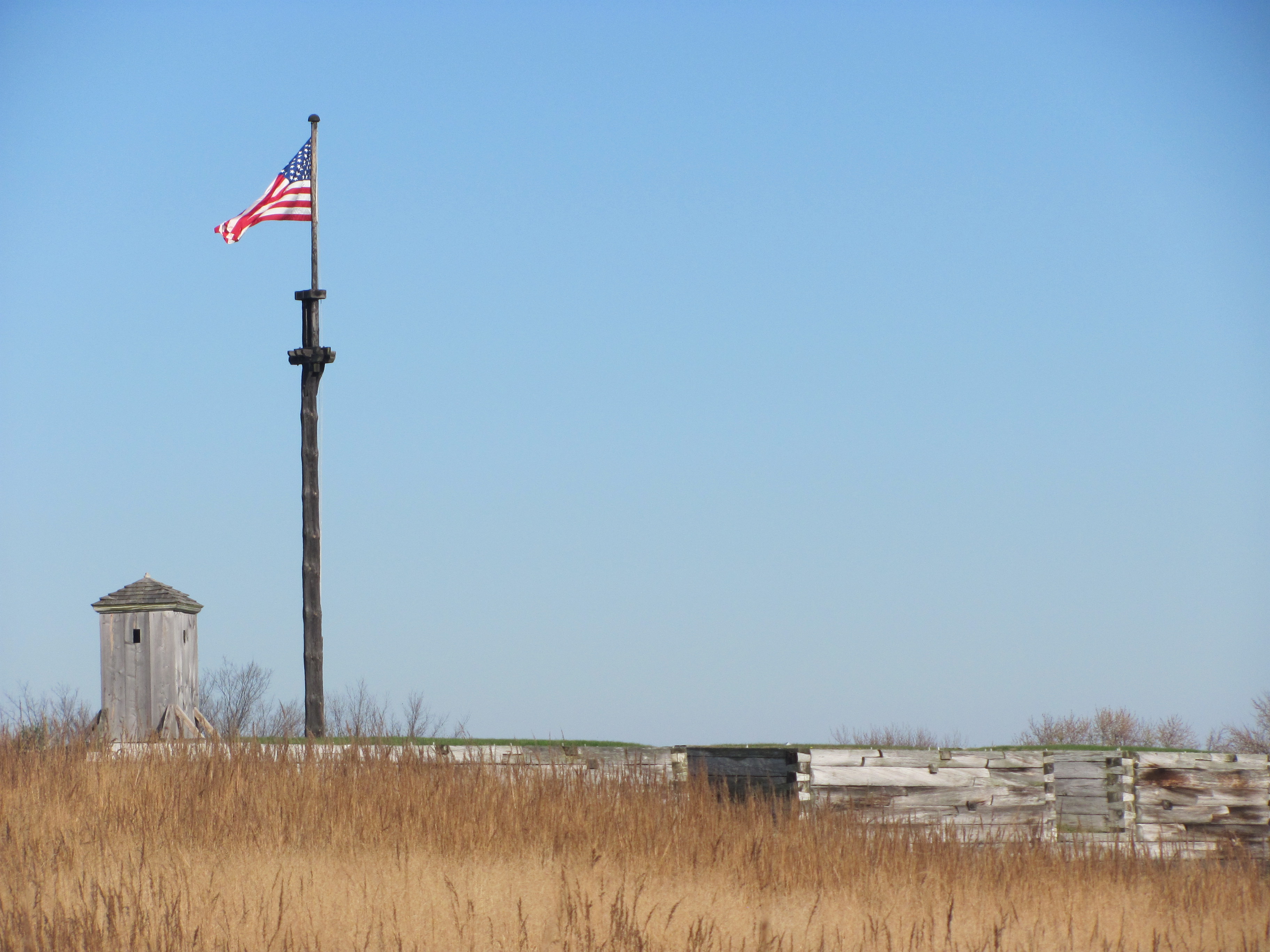 Tall grass surrounds the outside fort wall. A flag flies over it.