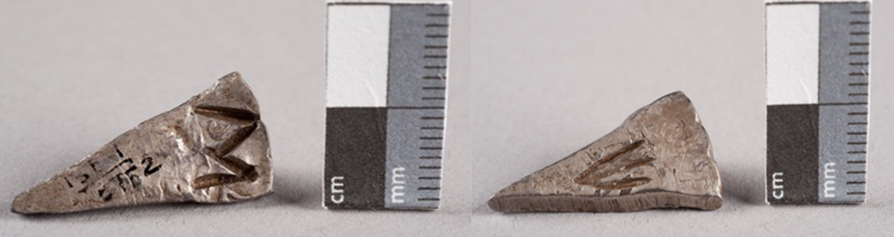 The front and back of a tiny sliver of metal, with tiny engravings. It is about 1 long.