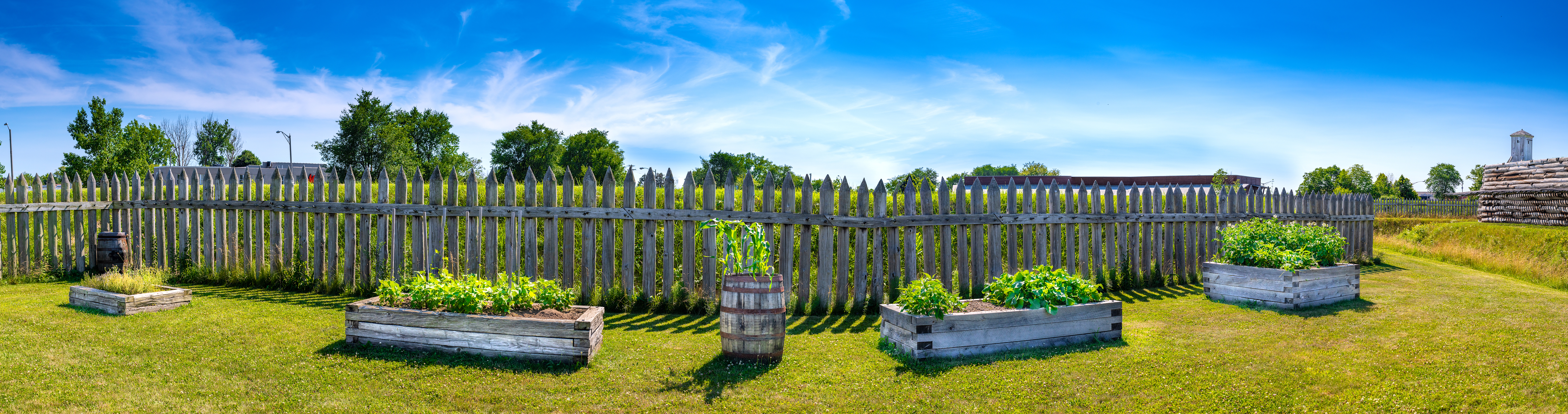Three garden beds that look like sandboxes. Verdant plants pour out of them.