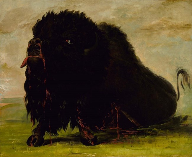 Painting of a buffalo fatally wounded and bleeding due to an arrow in its side.