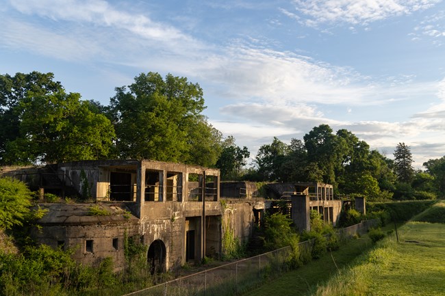 A decaying concrete gun emplacement surrounded by overgrown vegetation.