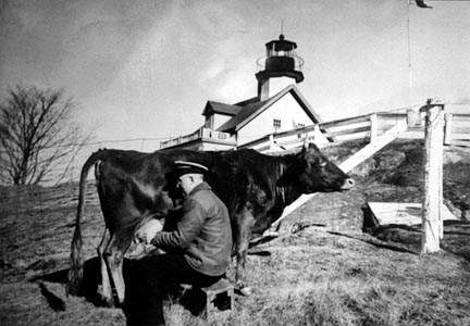 Le mari de Constance Small, Elson Small, trayant la vache de l'île Sainte-Croix, juste au-dessous de la maison du gardien.