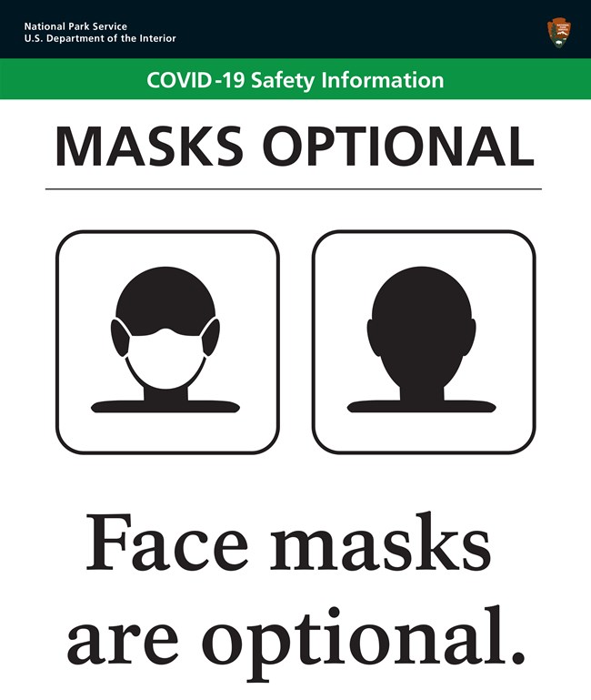 Masks Are Optional
