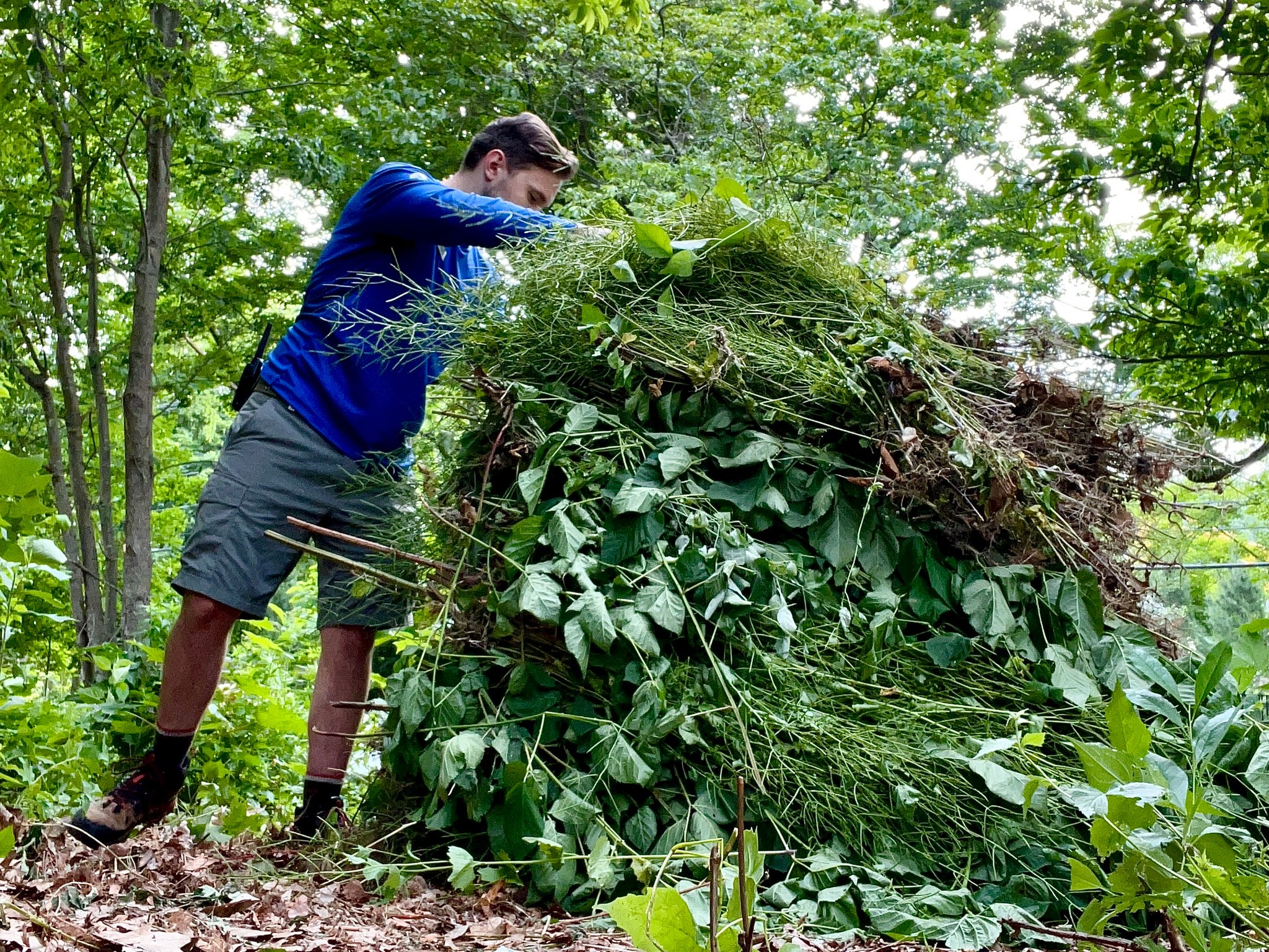 Man in blue shirt stacks foliage