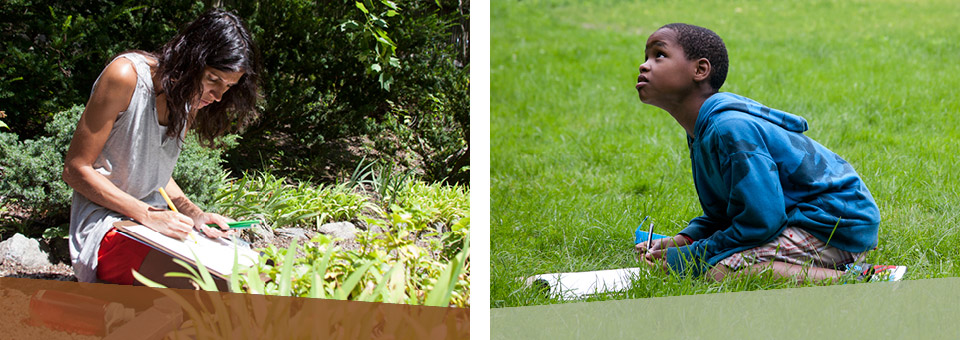 Good Neighbors Institute participants draw flora in the landscape at Fairsted