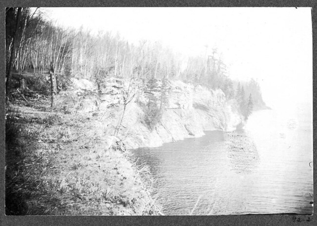 Black and white photograph of cliff edges along a body of water. At the top of the cliff are stands of white trees with few leaves.