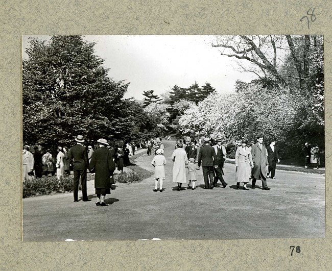 black and white photograph of crowd of people walking along a large dirt path. Both sides of the path have dense trees covering it.