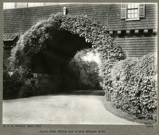 Black and white of arch going through house covered in leaves with a dirt road under it.