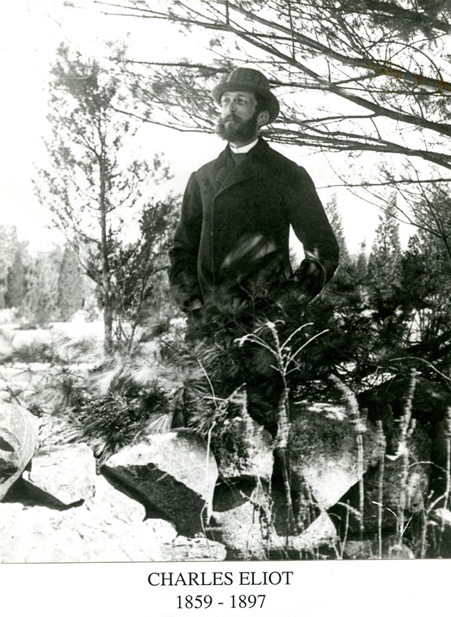 Black and white photograph of young man standing in wilderness wearing dark suit